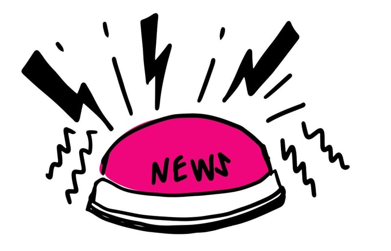 news buzzer nov news 2024 