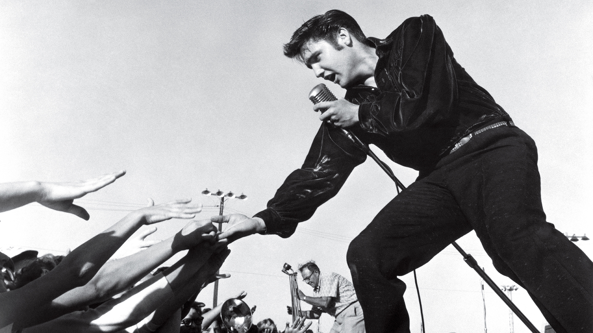 Elvis